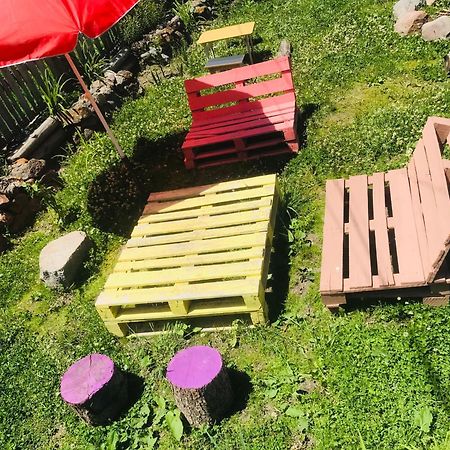Guesthouse And Cottage Nicolo 카즈베기 외부 사진