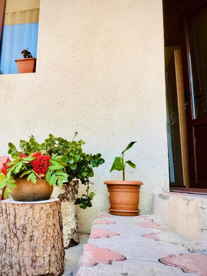Guesthouse And Cottage Nicolo 카즈베기 외부 사진