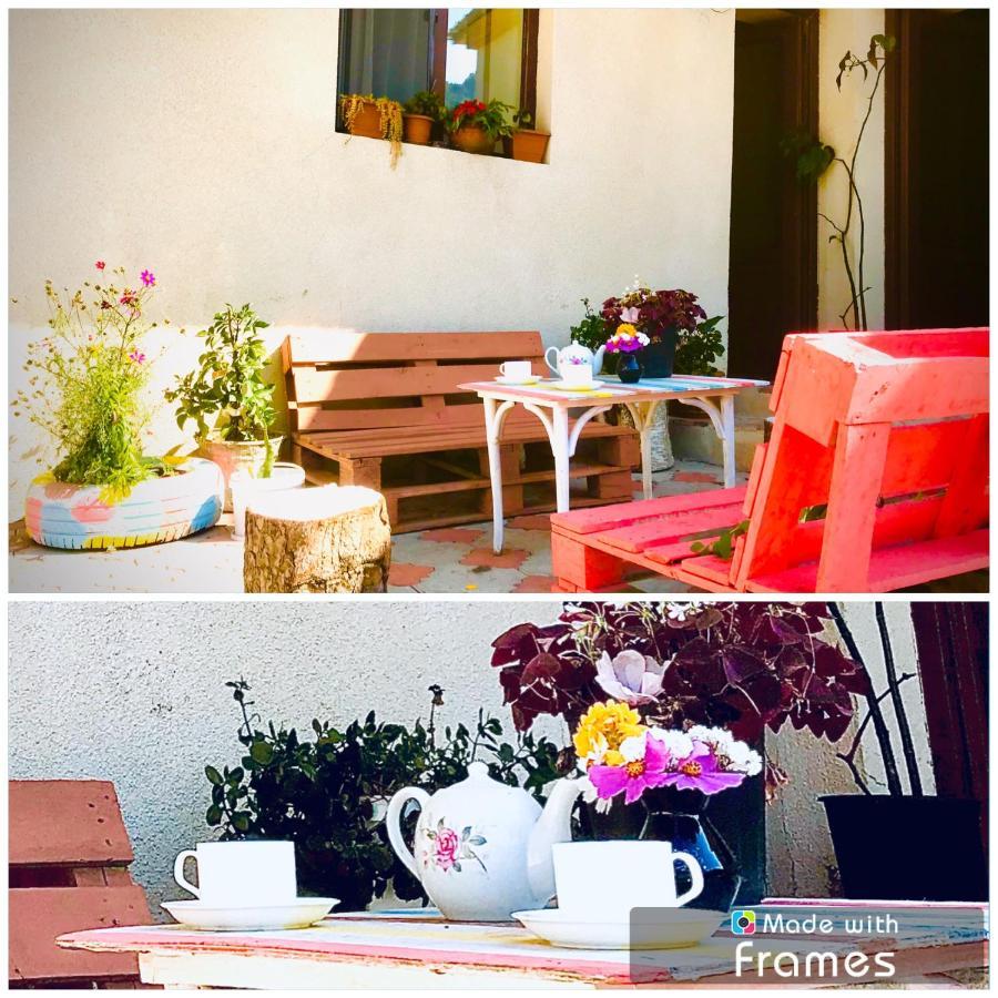 Guesthouse And Cottage Nicolo 카즈베기 외부 사진