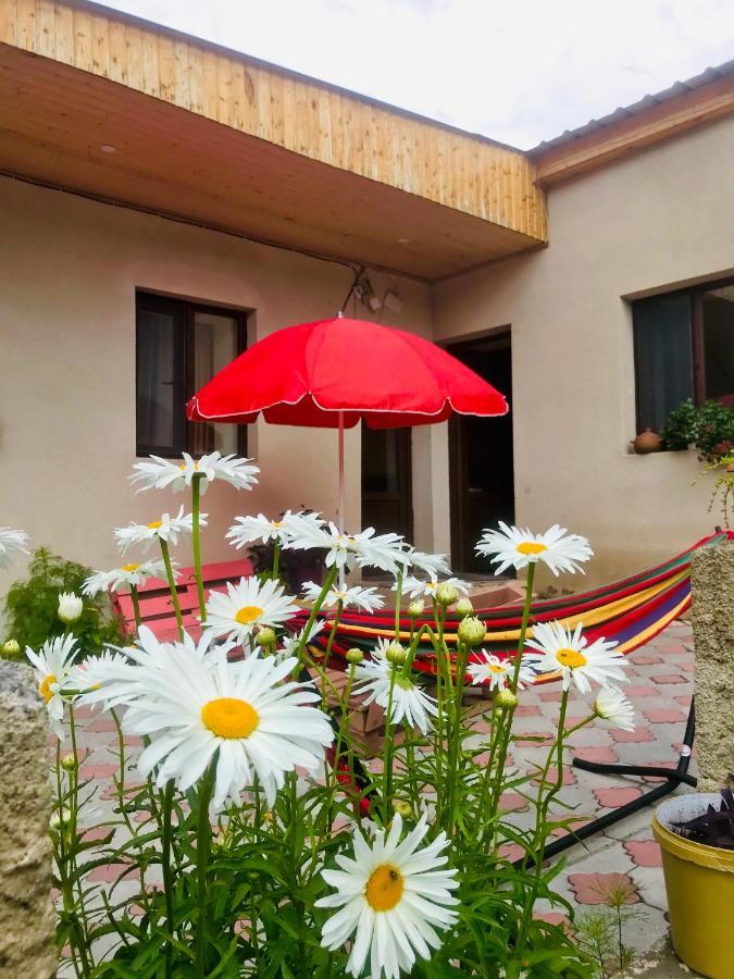 Guesthouse And Cottage Nicolo 카즈베기 외부 사진