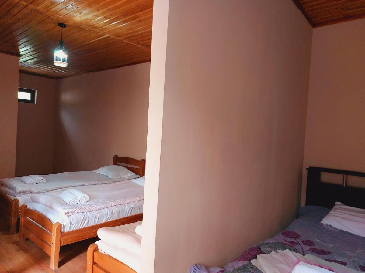 Guesthouse And Cottage Nicolo 카즈베기 외부 사진
