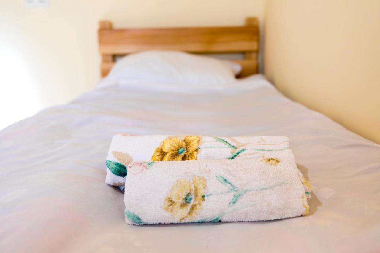 Guesthouse And Cottage Nicolo 카즈베기 외부 사진